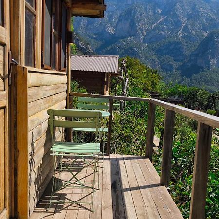 Hotel Olive Garden Kabak Faralya Esterno foto